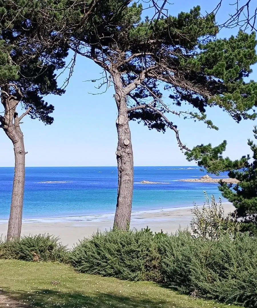 Duplex 800M De La Plage Trevou-Treguignec Holiday home
